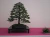 1379-PICT0161   